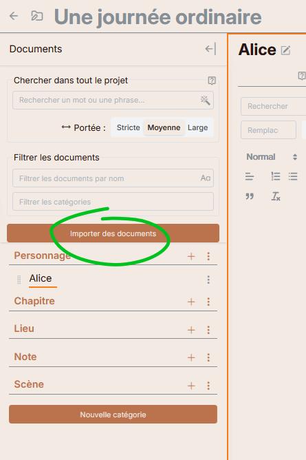 Localiser le bouton d'importation dans le panneau des documents